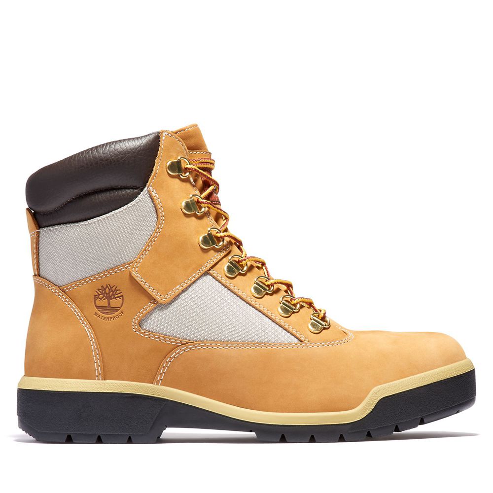 Bocanci 6-Inch Timberland Barbati Maro/Negrii - Waterproof Field - Romania - RUOVAK058